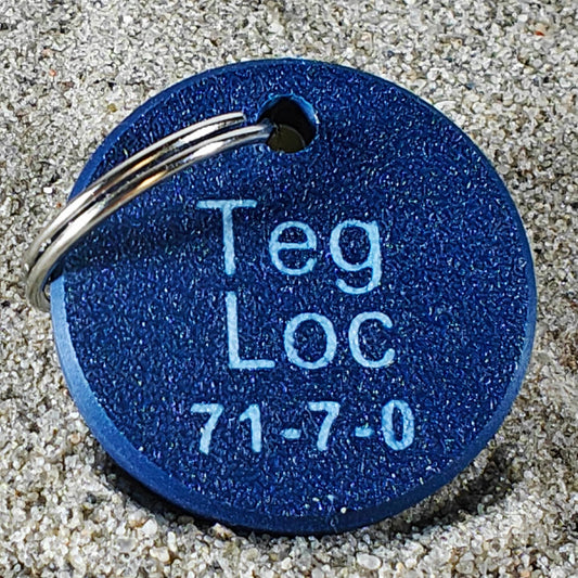 Rückseite des TEGs 71-7 - Bundesland Hessen 2026 im Sand