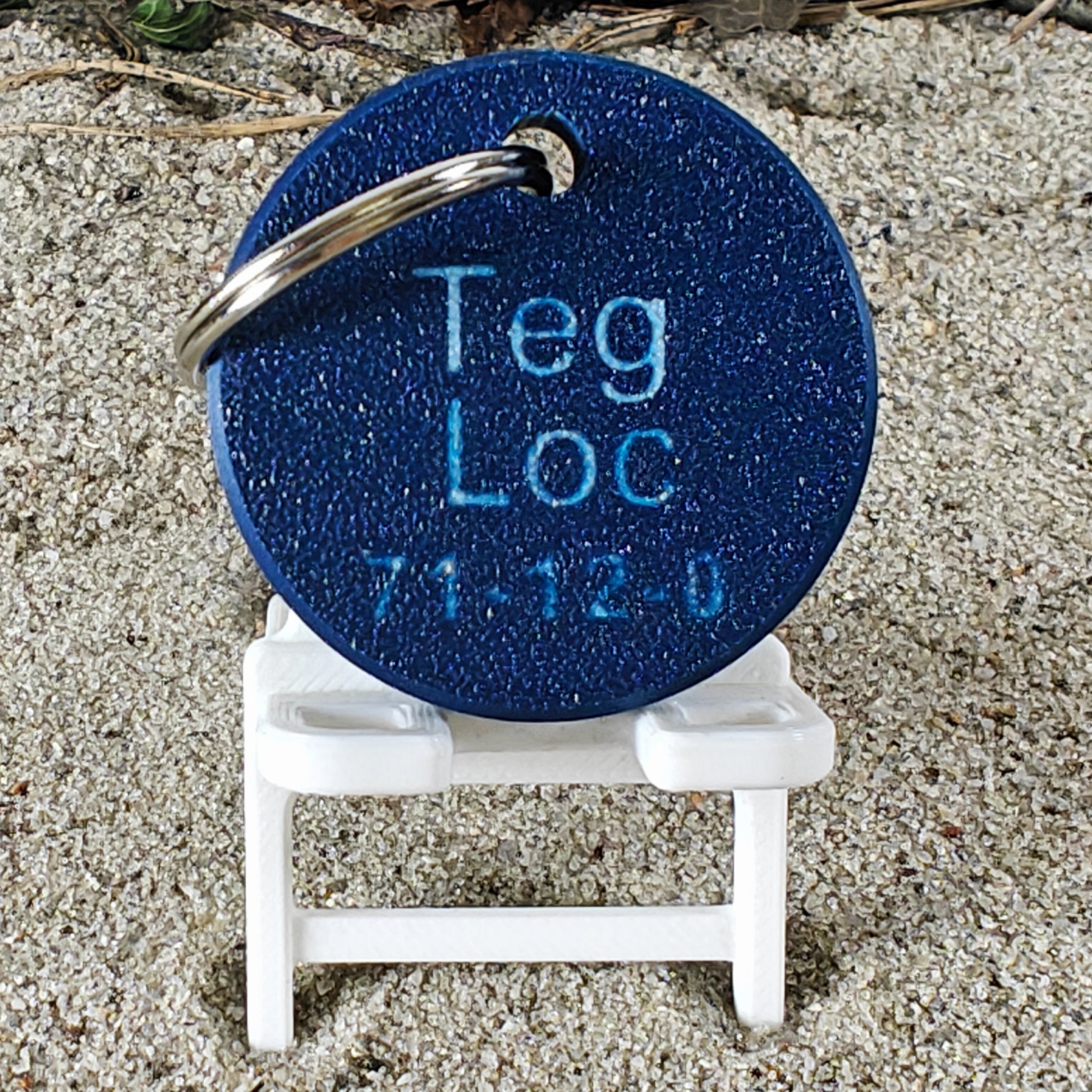 Rückseite des TEGs 71-12 - Bundesland Saarland 2026 im Liegestuhl