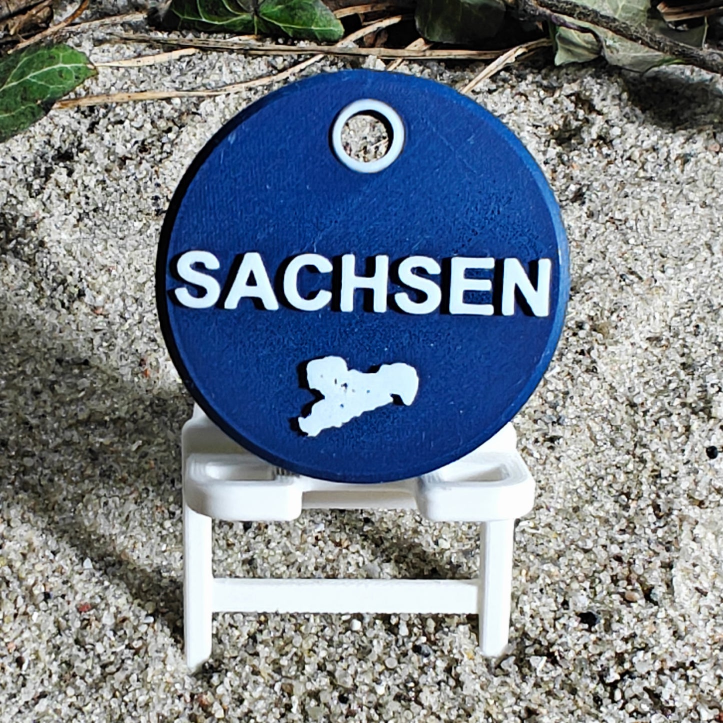 Vorderseite des TEGs 71-13 - Bundesland Sachsen 2026 im Liegestuhl