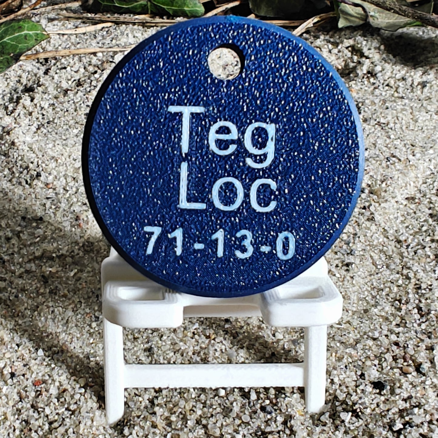 Rückseite des TEGs 71-13 - Bundesland Sachsen 2026 im Liegestuhl