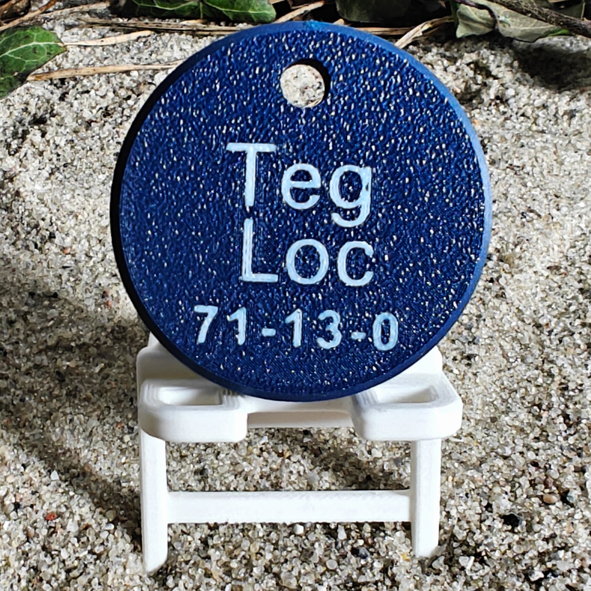 Rückseite des TEGs 71-13 - Bundesland Sachsen 2026 im Liegestuhl