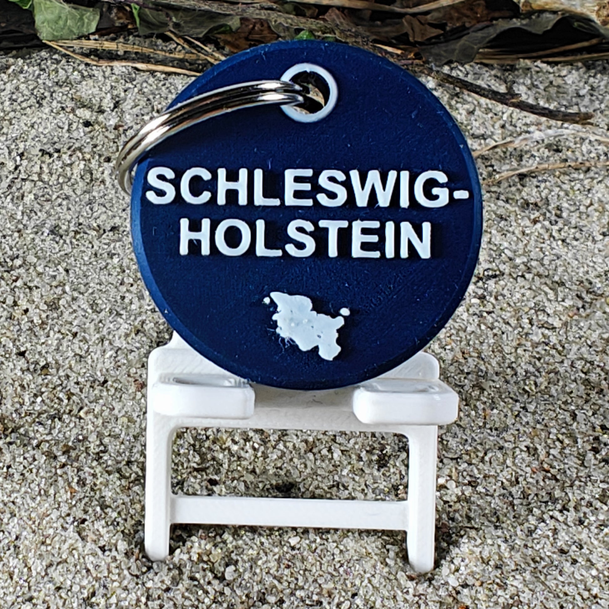 Vorderseite des TEGs 71-15 - Bundesland Schleswig-Holstein 2026 im Liegestuhl