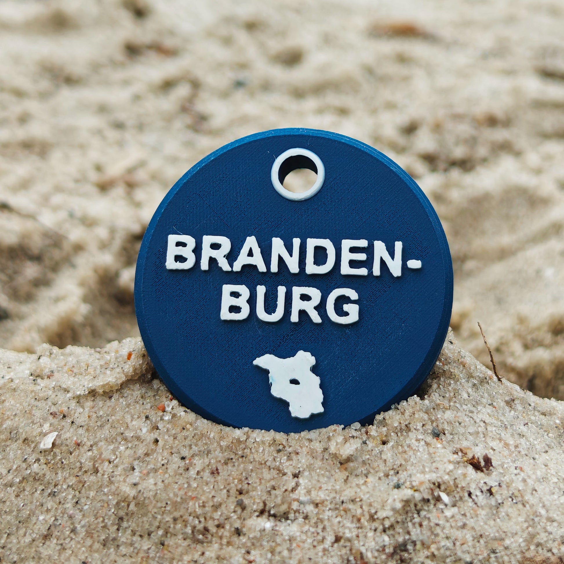 Vorderseite des TEGs 71-4 - Bundesland Brandenburg 2026 im Sand