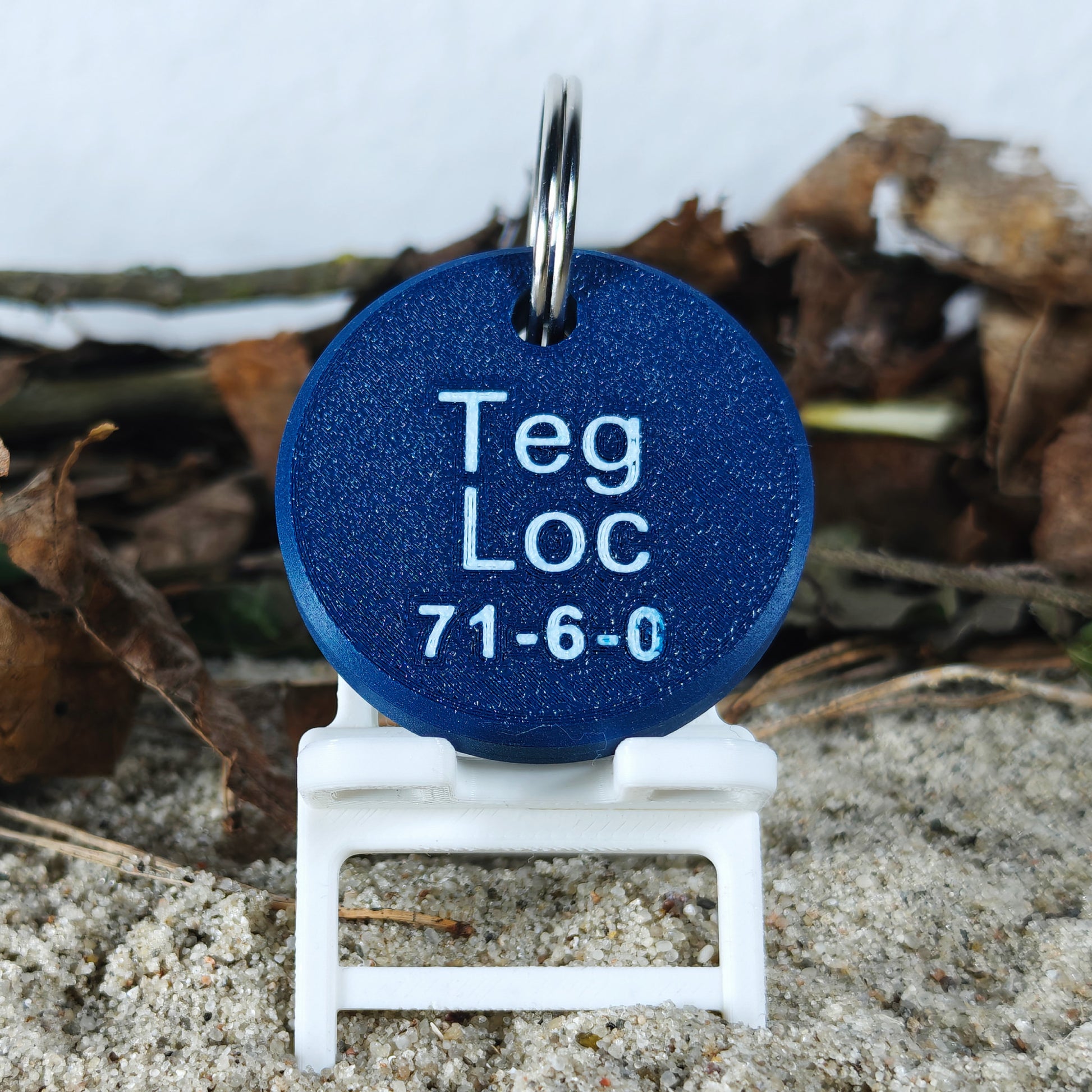 Rückseite des TEGs 71-6 - Bundesland Hamburg 2026 im Liegestuhl