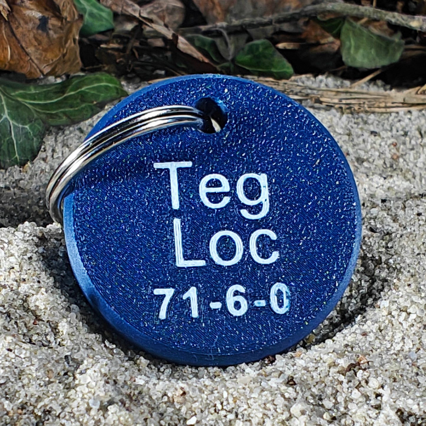 Rückseite des TEGs 71-6 Bundesland Hamburg 2026 im Sand