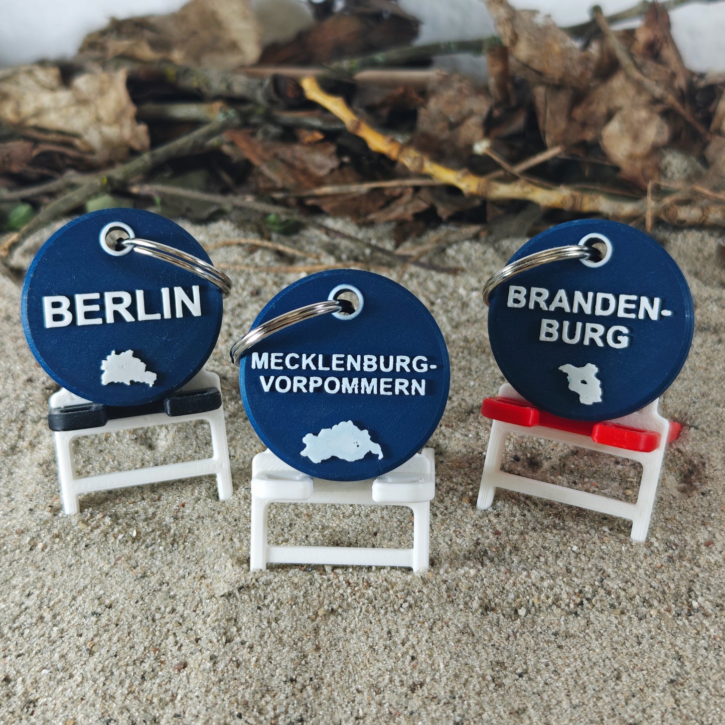 Vorderseite des TEGs 71-8 - Bundesland Mecklenburg-Vorpommern mit Berlin und Brandenburg 2026 im Liegestuhl